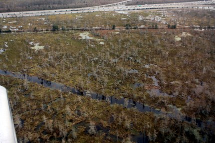 242dae_ed6dc15922484876ae12b7bfe442a0f9-mv2_d_5184_3456_s_4_2