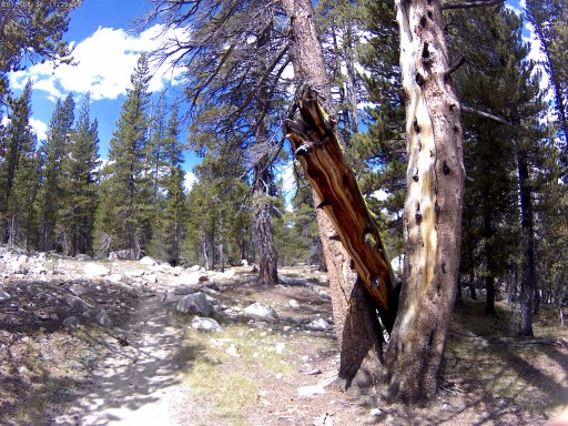 This photo is taken by AllWinner's v3-sdv