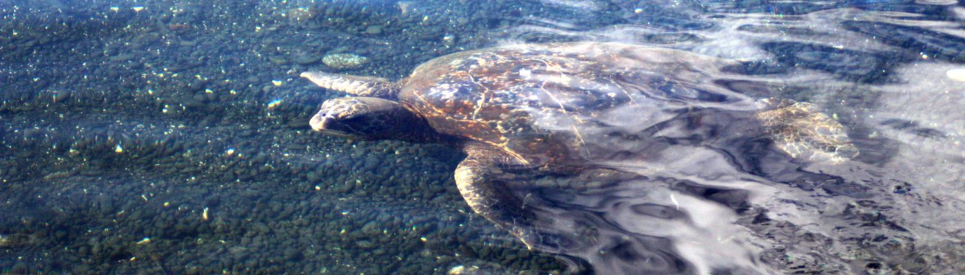 Hit the Road with Me