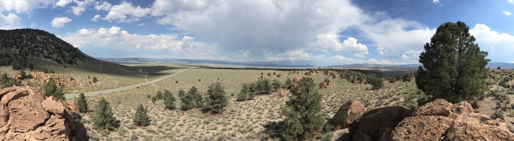 The photo shows the Nevada desert stretching into the distance, with a few low conifers and shrubs.